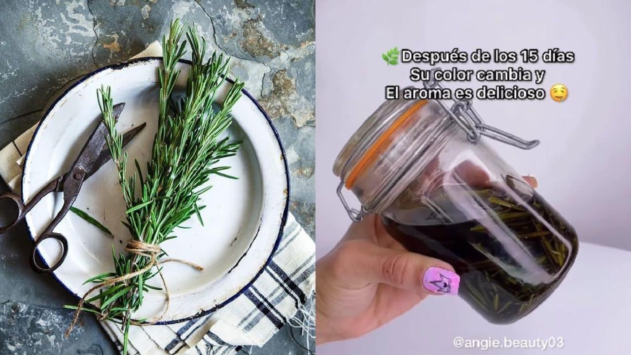 usos alcohol de romero