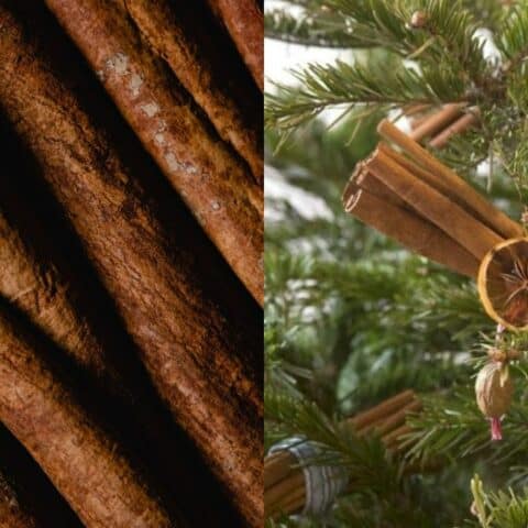 poner canela en arbol de navidad