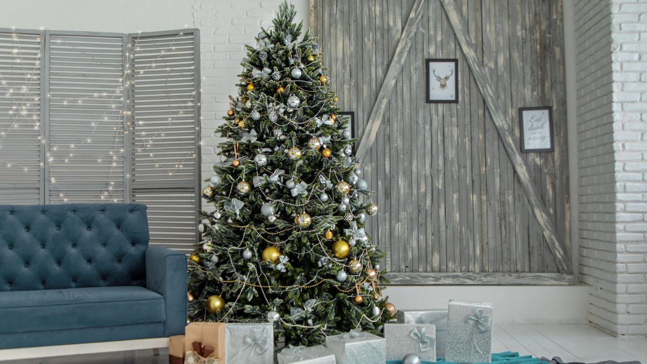 Eliminar plagas de tu árbol de Navidad