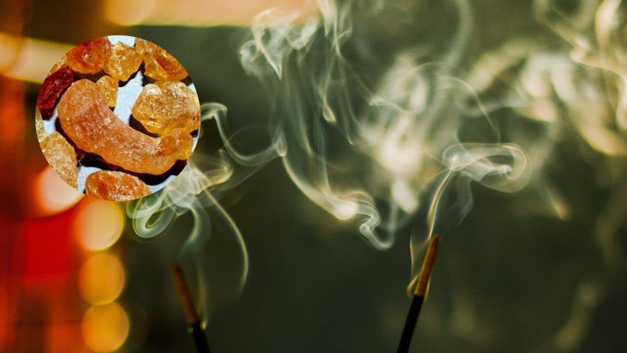 incienso de canela hecho en casa