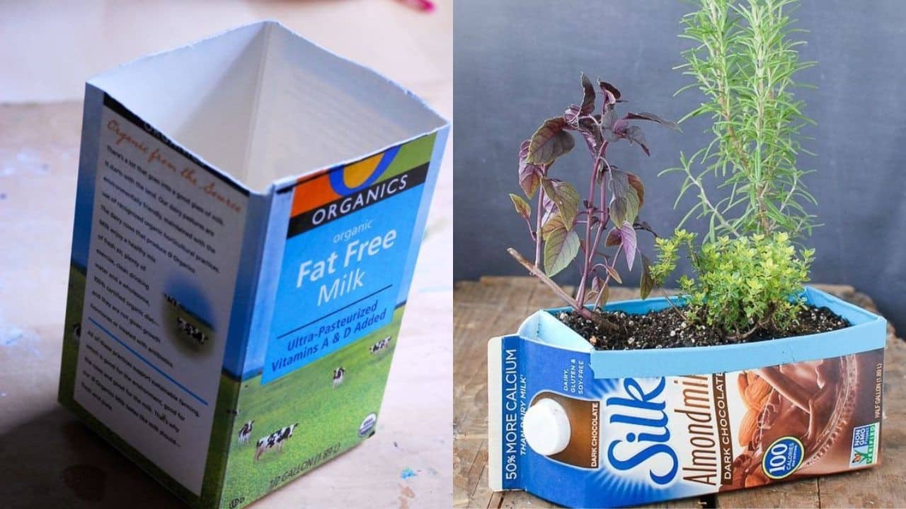 macetas con cartones de leche