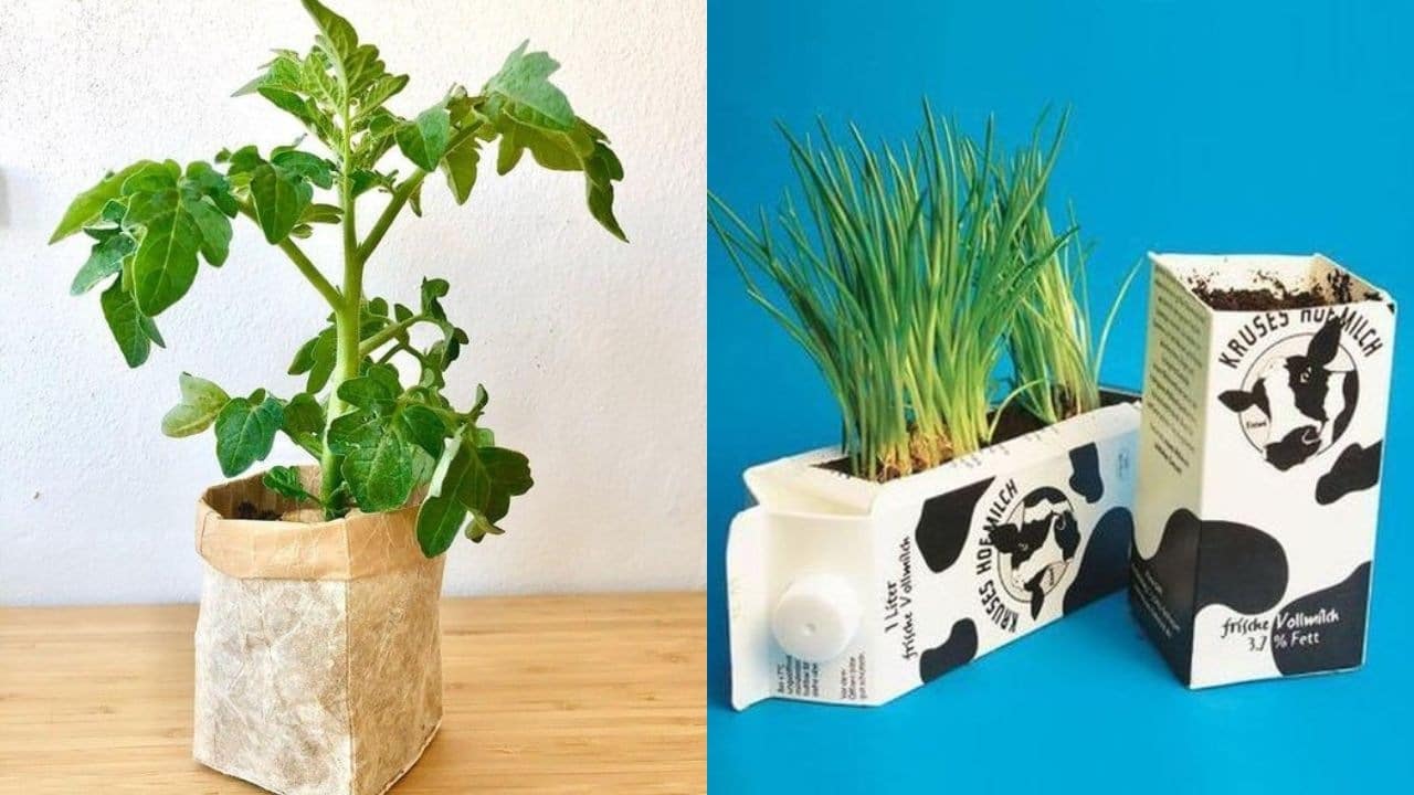 macetas con tetra pak