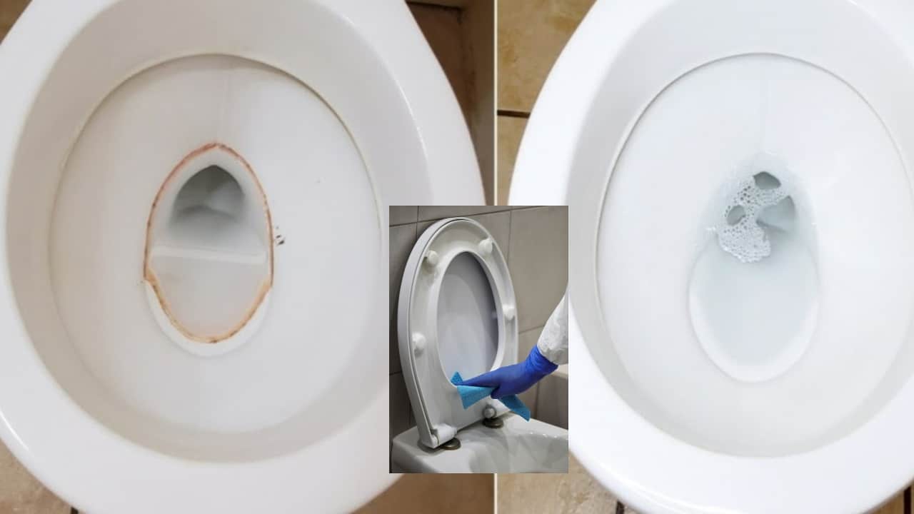 remover el círculo amarillo de la taza del baño