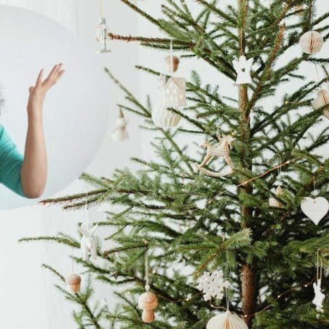 plagas que tu árbol de Navidad natural podría tener