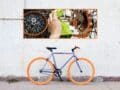 quitar oxido de bicicleta