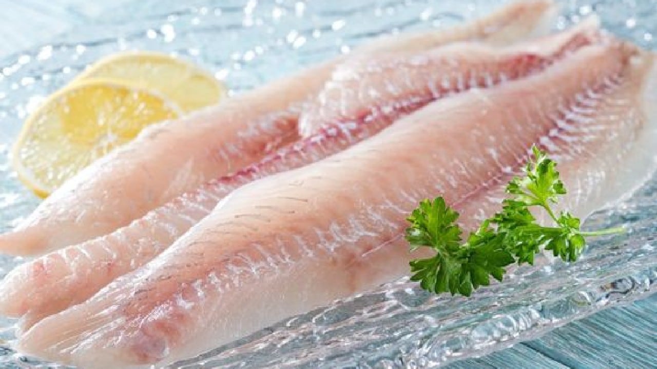 abadejo alternativa bacalao