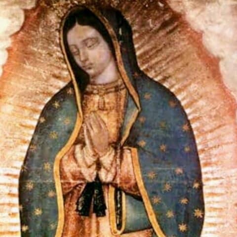 El misterio en los ojos de la Virgen de Guadalupe