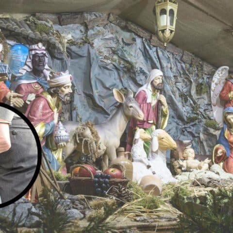 musgo y heno son ilegales