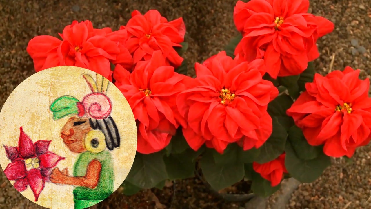 Nochebuena en las culturas prehispánicas