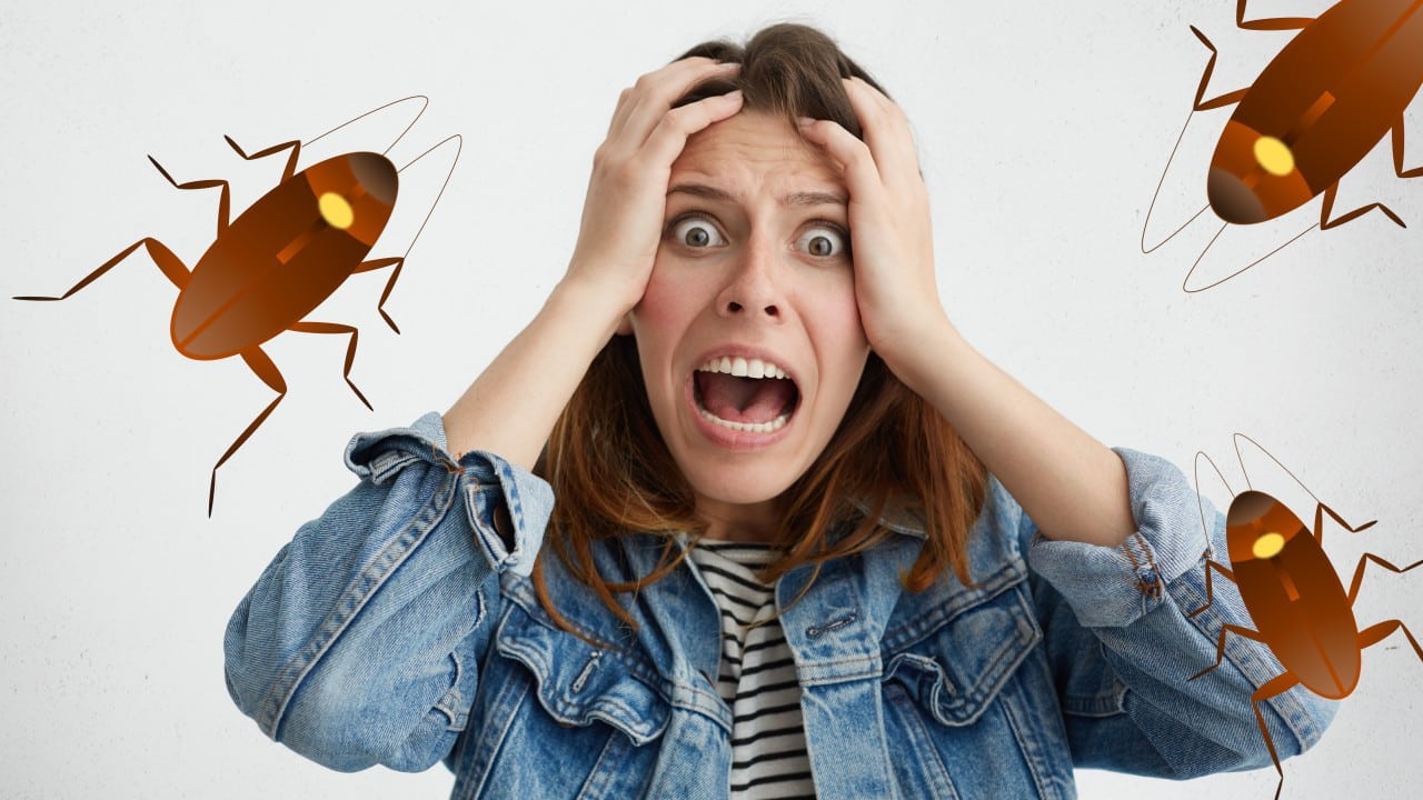 Cosas que atraen a las cucarachas a tu hogar