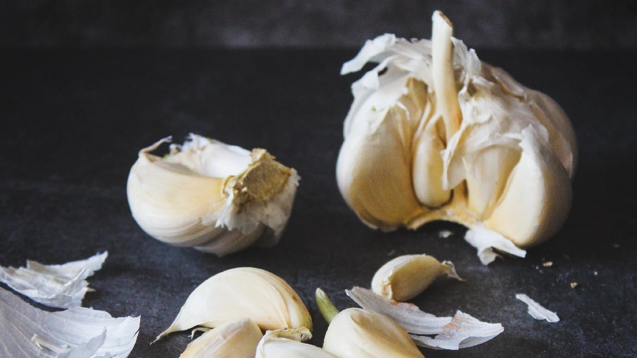 insecticida plagas jardin