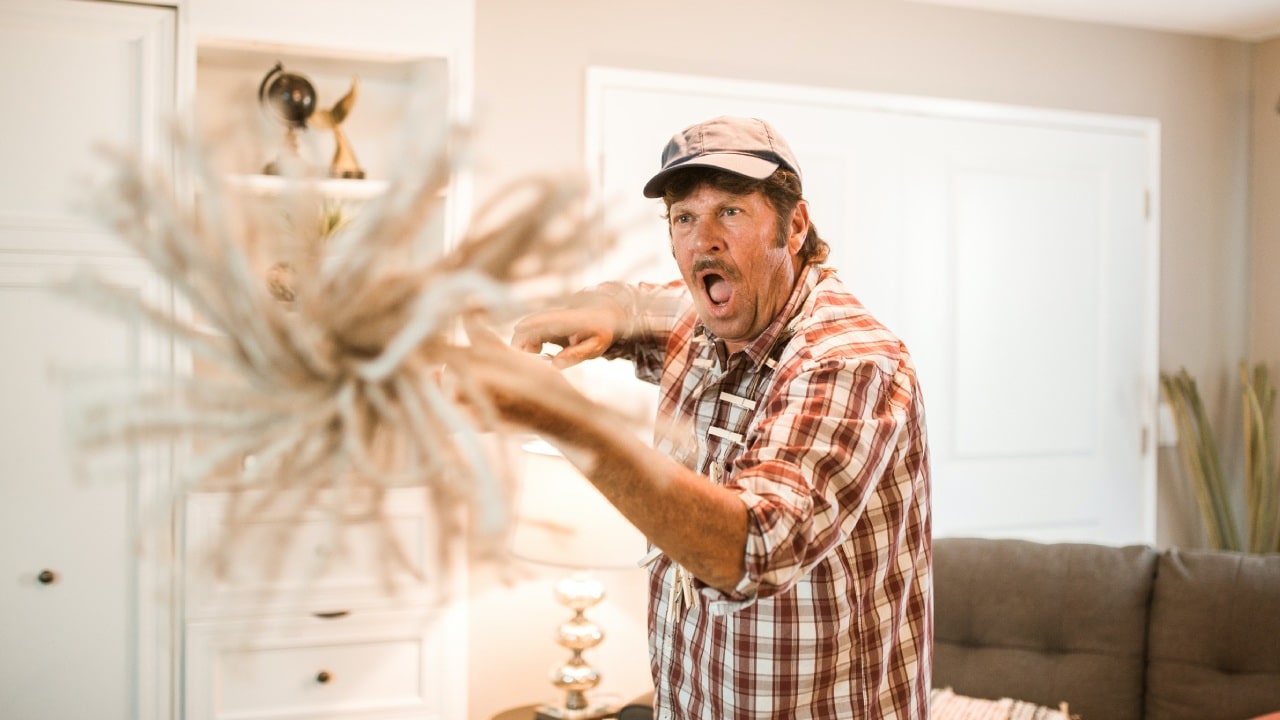 Reutilizar un trapeador para las plantas