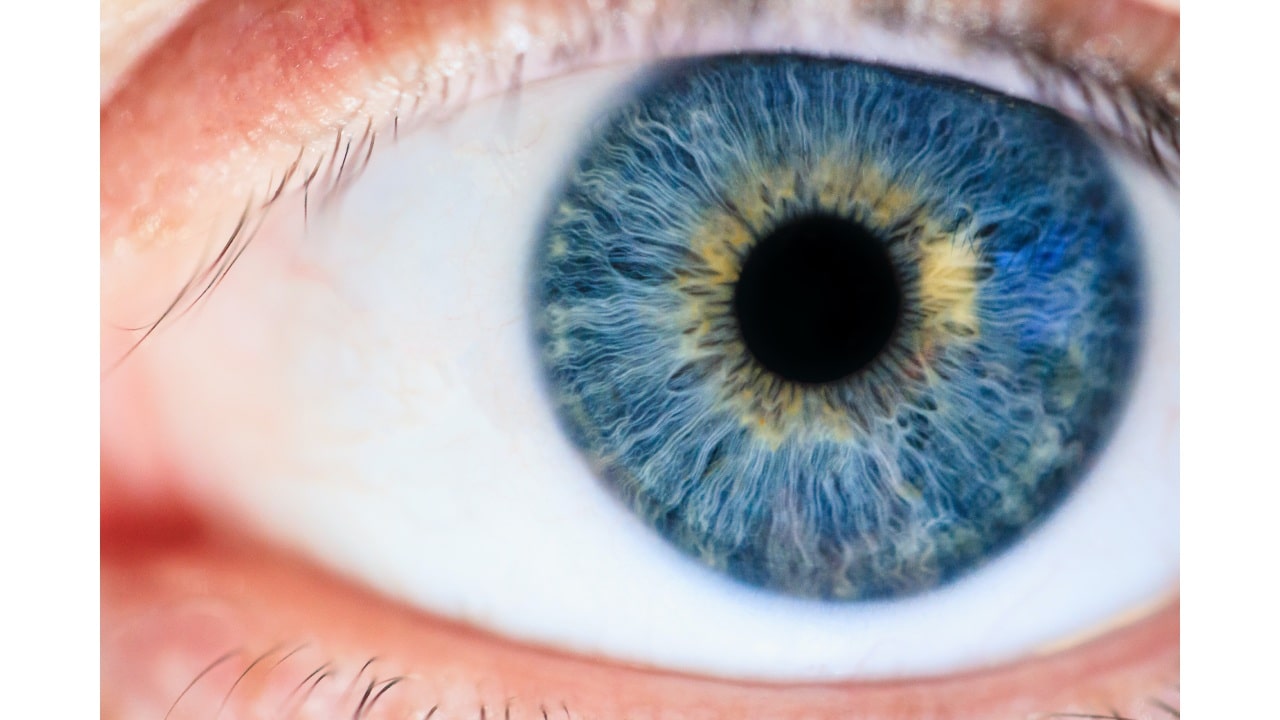 La leyenda de los ojos Sanpaku