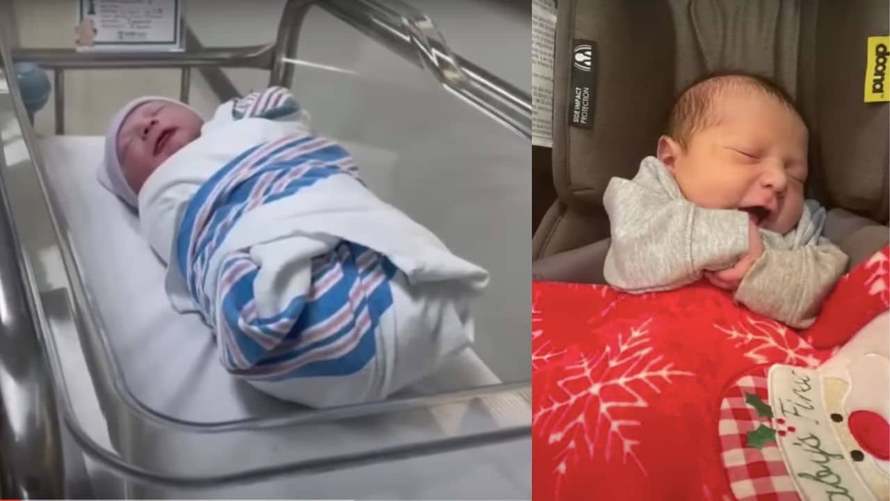 cesarea andrea escalona