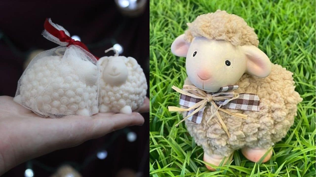 borrego de la abundancia