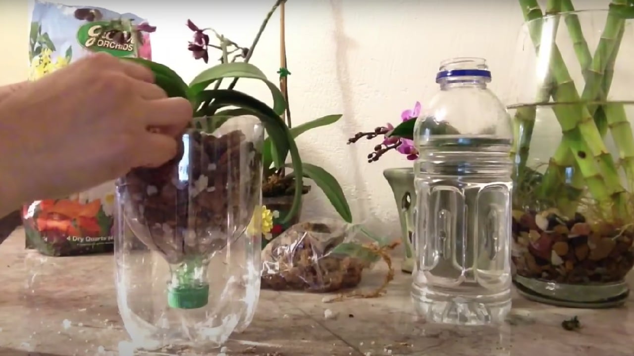 maceta para orquidea botellas de plastico