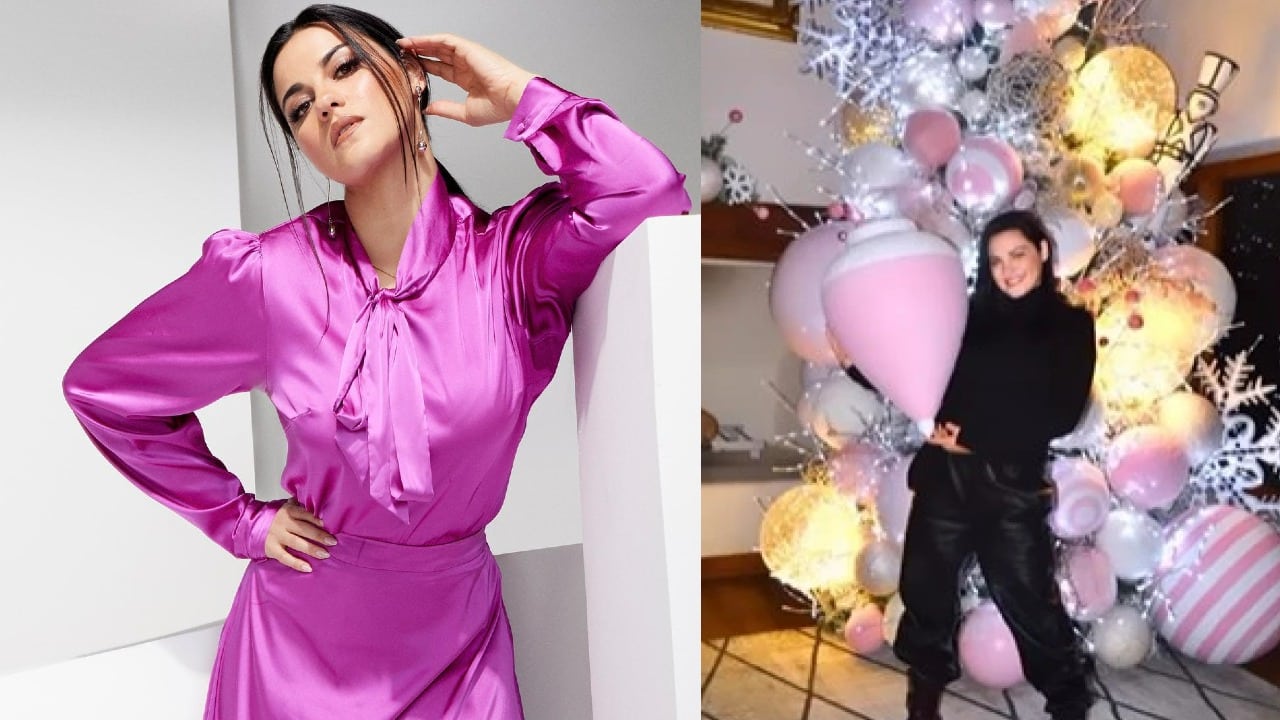 Maite Perroni divide opiniones con su árbol de Navidad
