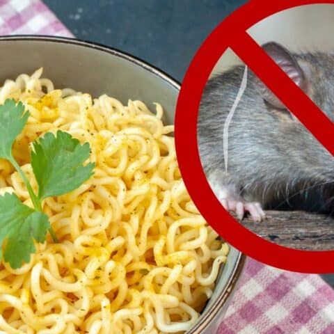 Cómo hacer veneno para ratas y cucaracha