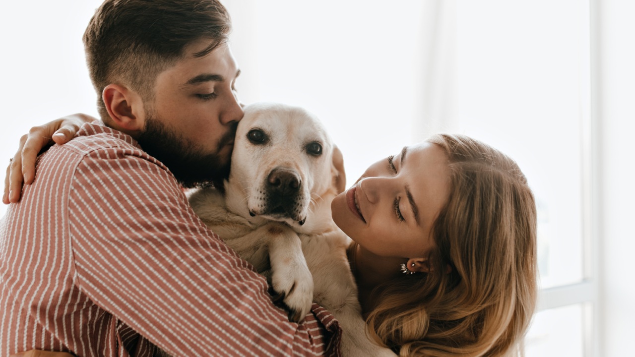 Mi perro se pone inquieto cuando abrazo a mi pareja