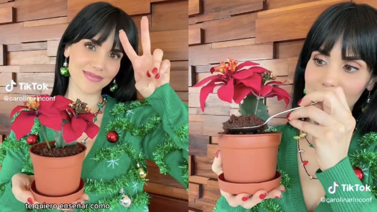 postre en forma de nochebuena