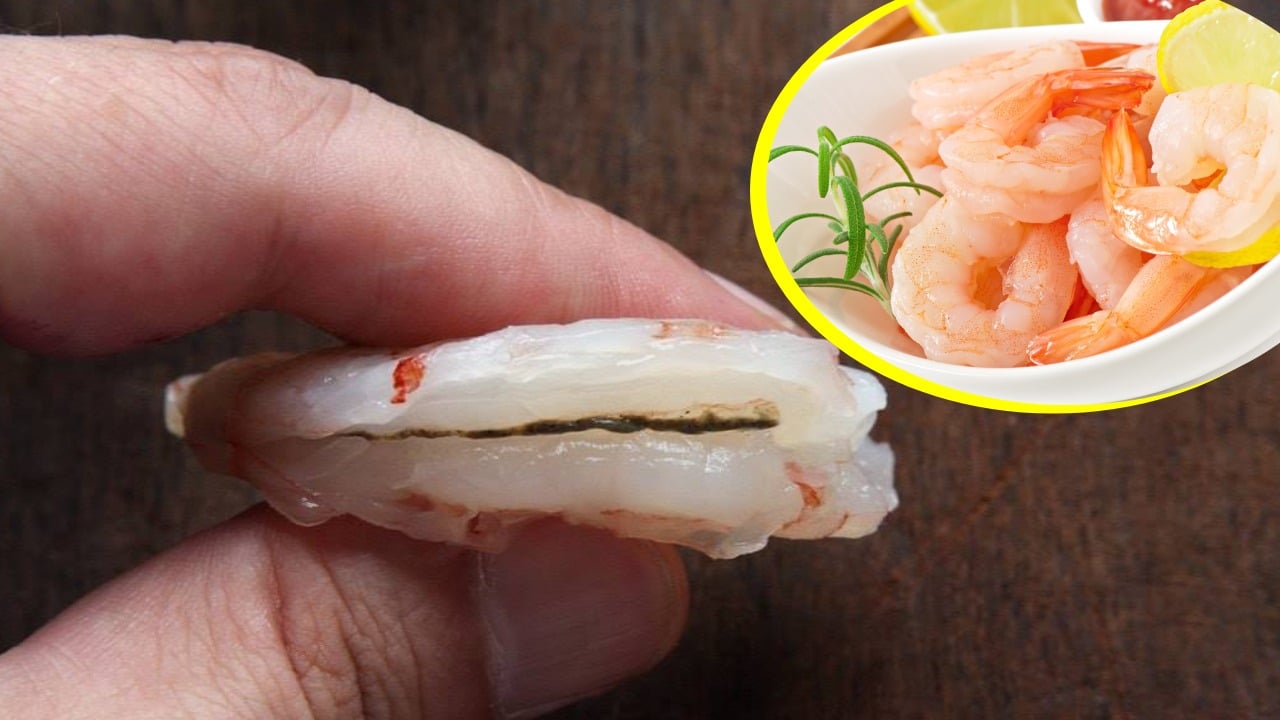 Vena negra de los camarones