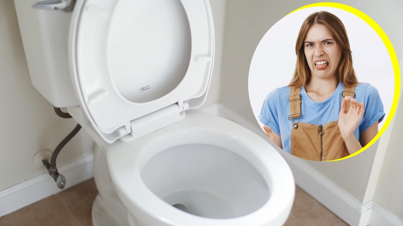 Riesgos de dejar la tapa del inodoro abierta