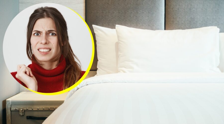 Tus almohadas son un nido de ácaros