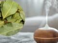 3 formas sencillas de aromatizar tu hogar con laurel, ¡olerá delicioso!