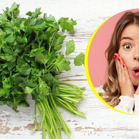 Personas que no deberían consumir cilantro