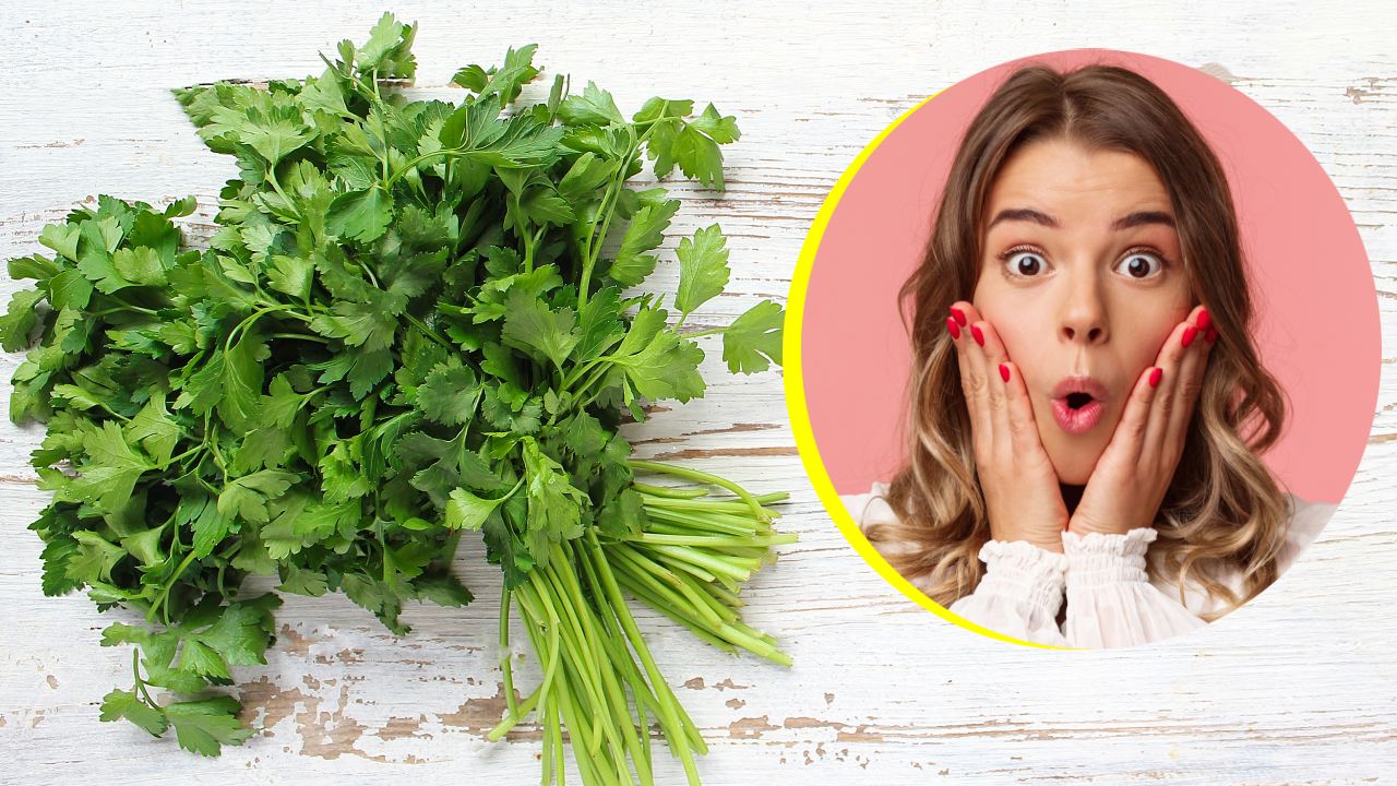 Personas que no deberían consumir cilantro