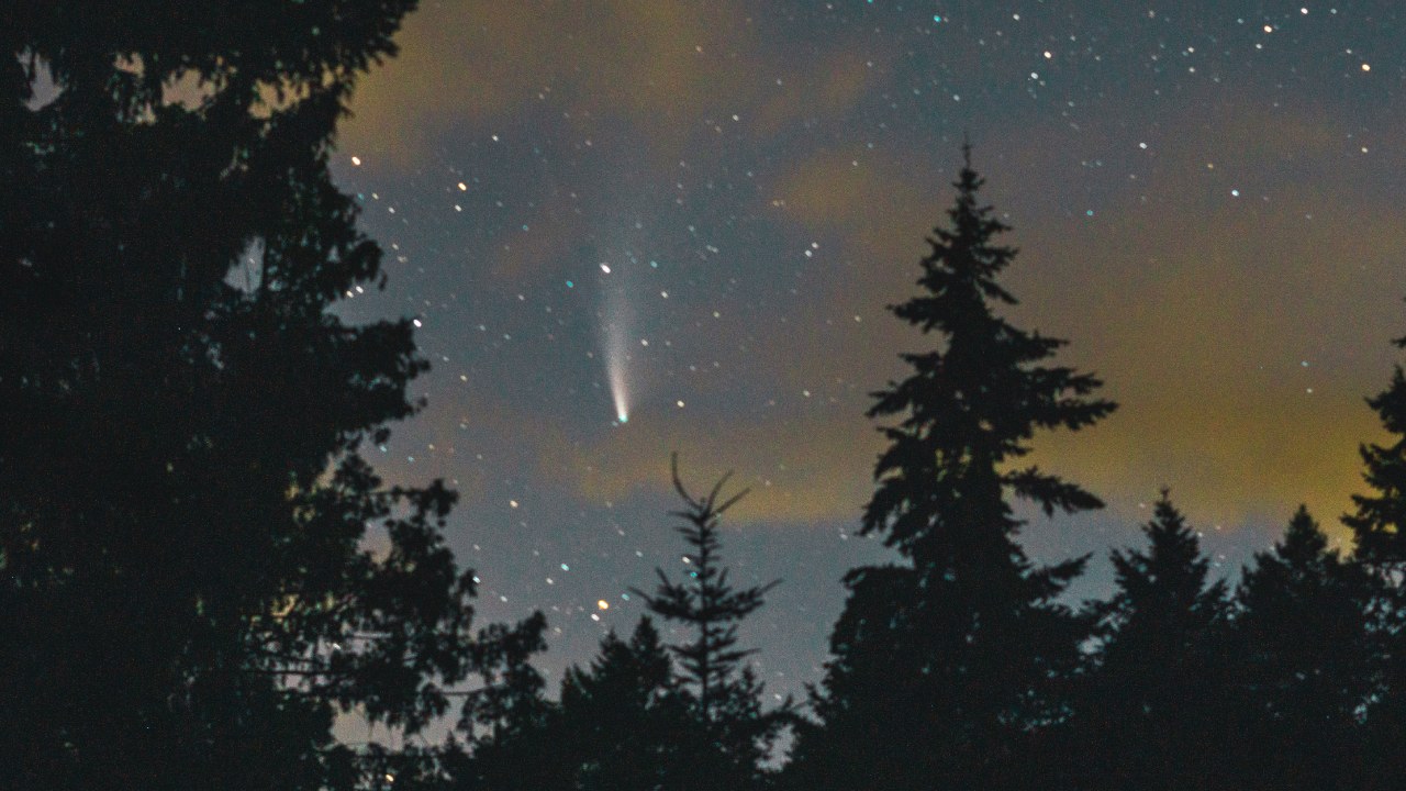 Cometa que regresará después de 50 mil años