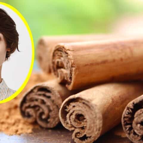 Diferenciar canela falsa de China o canela real