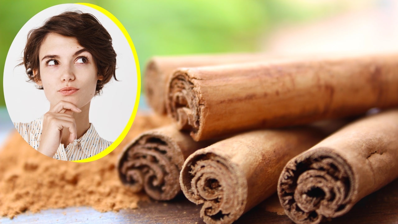 Diferenciar canela falsa de China o canela real