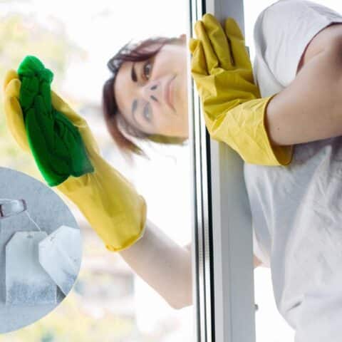 limpiar tus ventanas