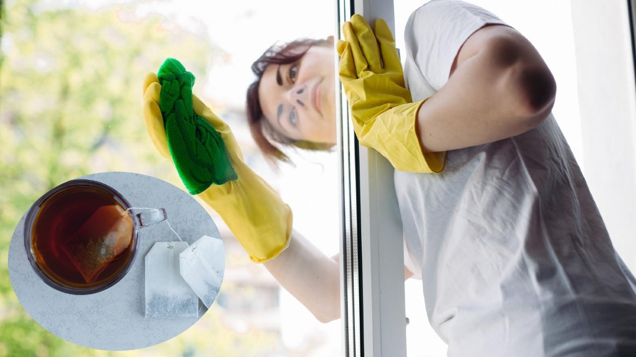 limpiar tus ventanas