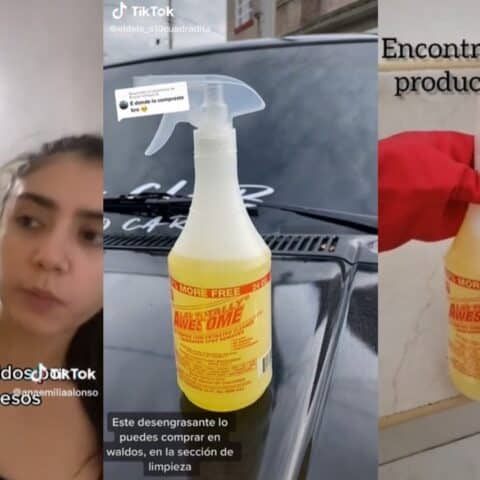 El limpiador de Waldo's viral