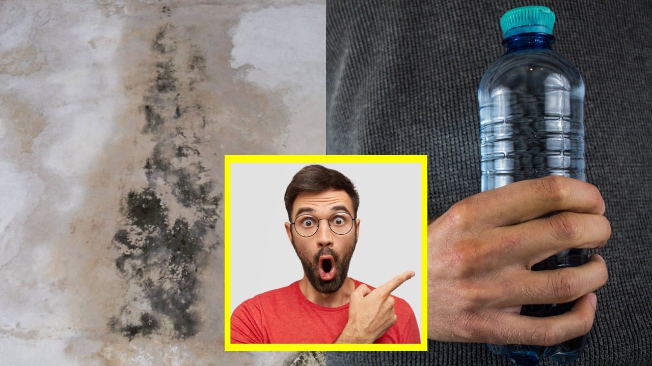 Truco con una botella para evitar la humedad