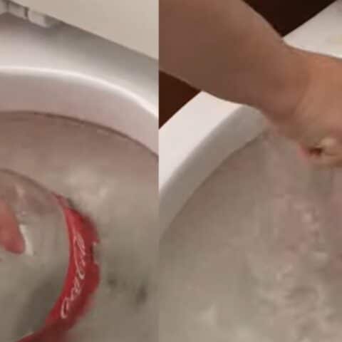 destapar el sanitario con una botella