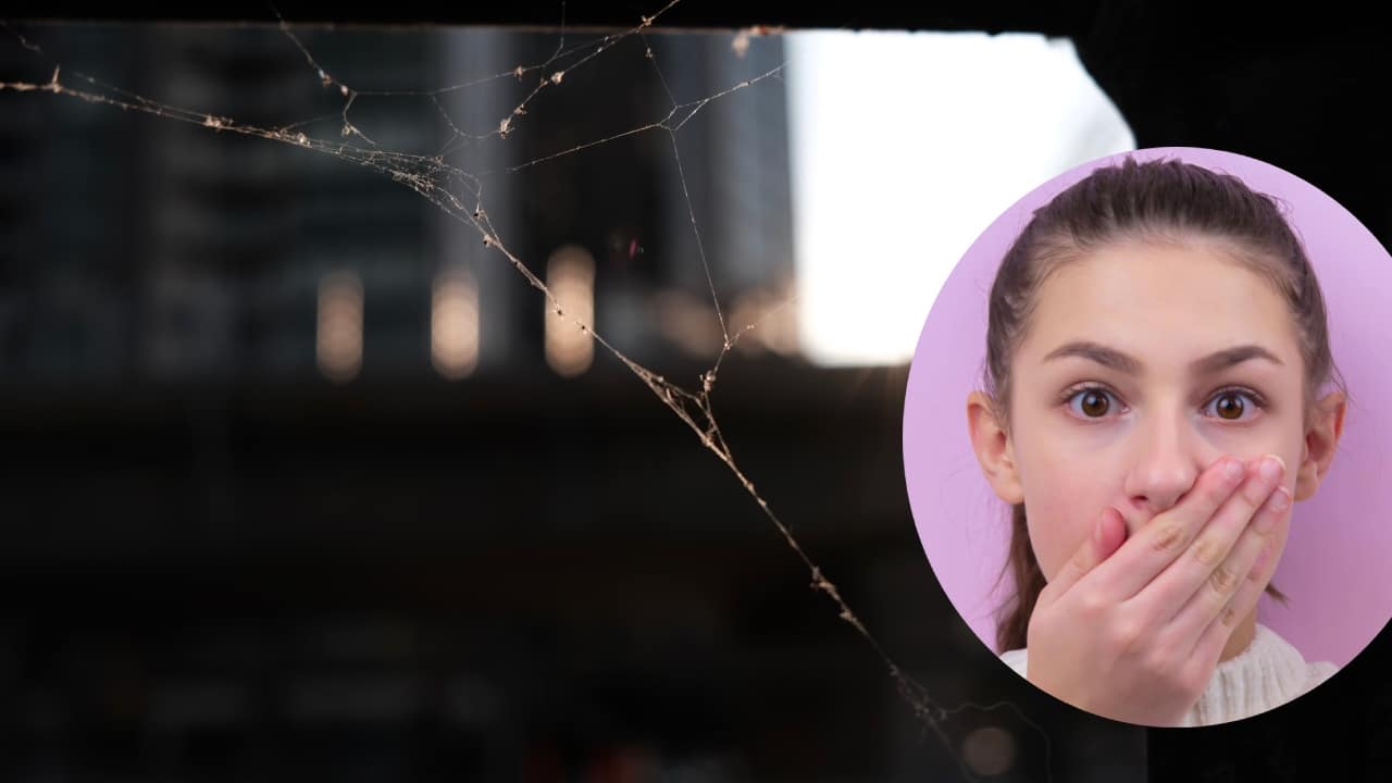 Trucos para eliminar las telarañas del baño