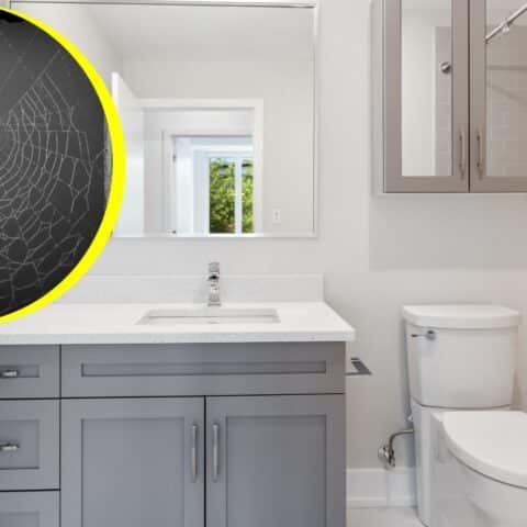 Trucos para eliminar las telarañas del baño