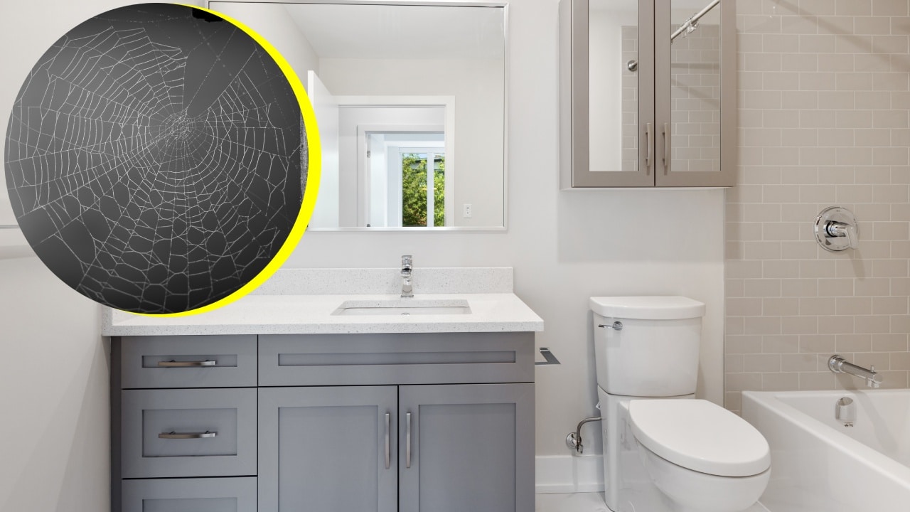 Trucos para eliminar las telarañas del baño