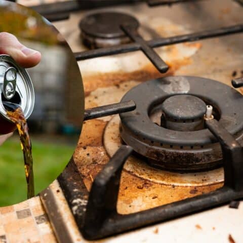 acabar de una vez por todas con el cochambre