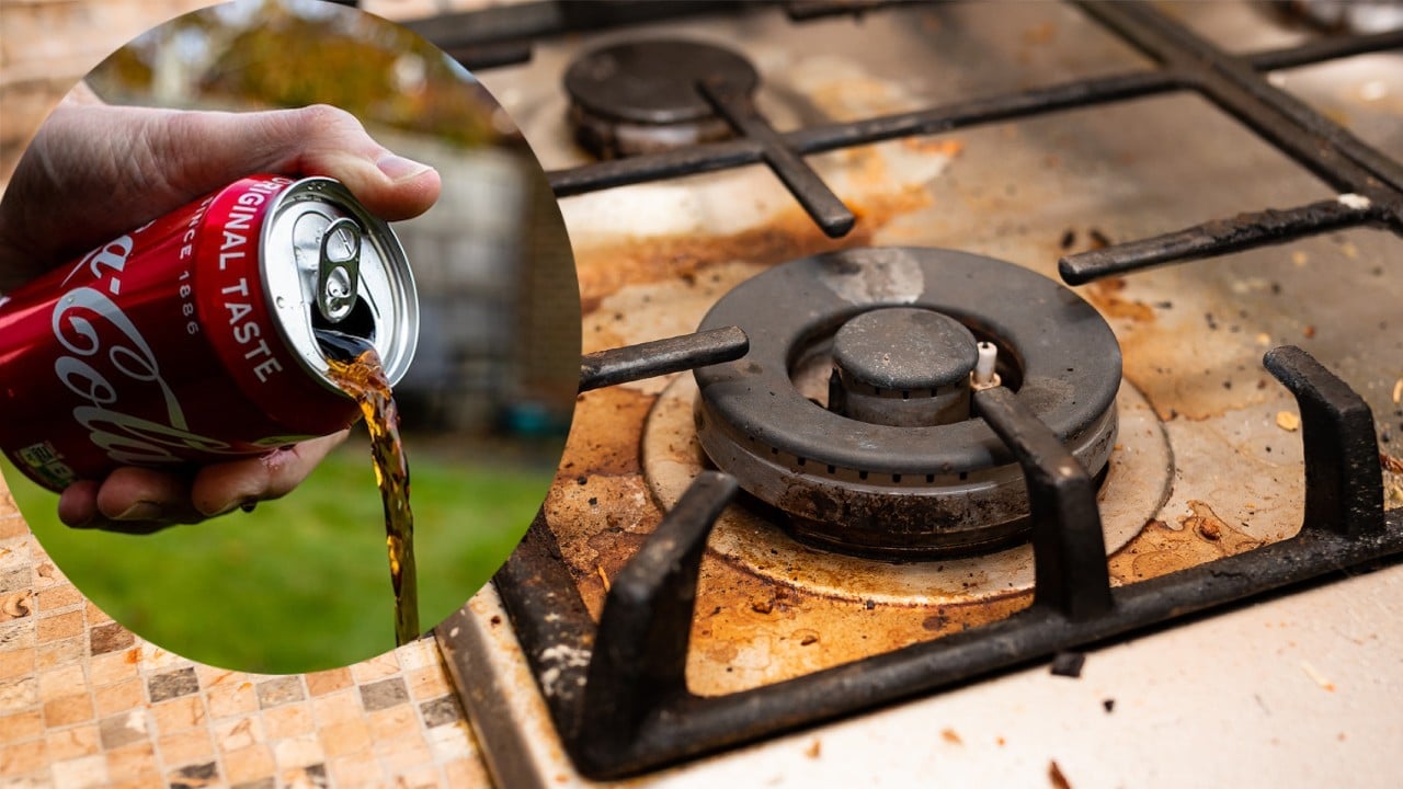 acabar de una vez por todas con el cochambre