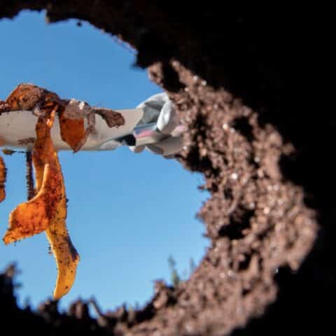 usar restos humanos para composta de huertos y jardines