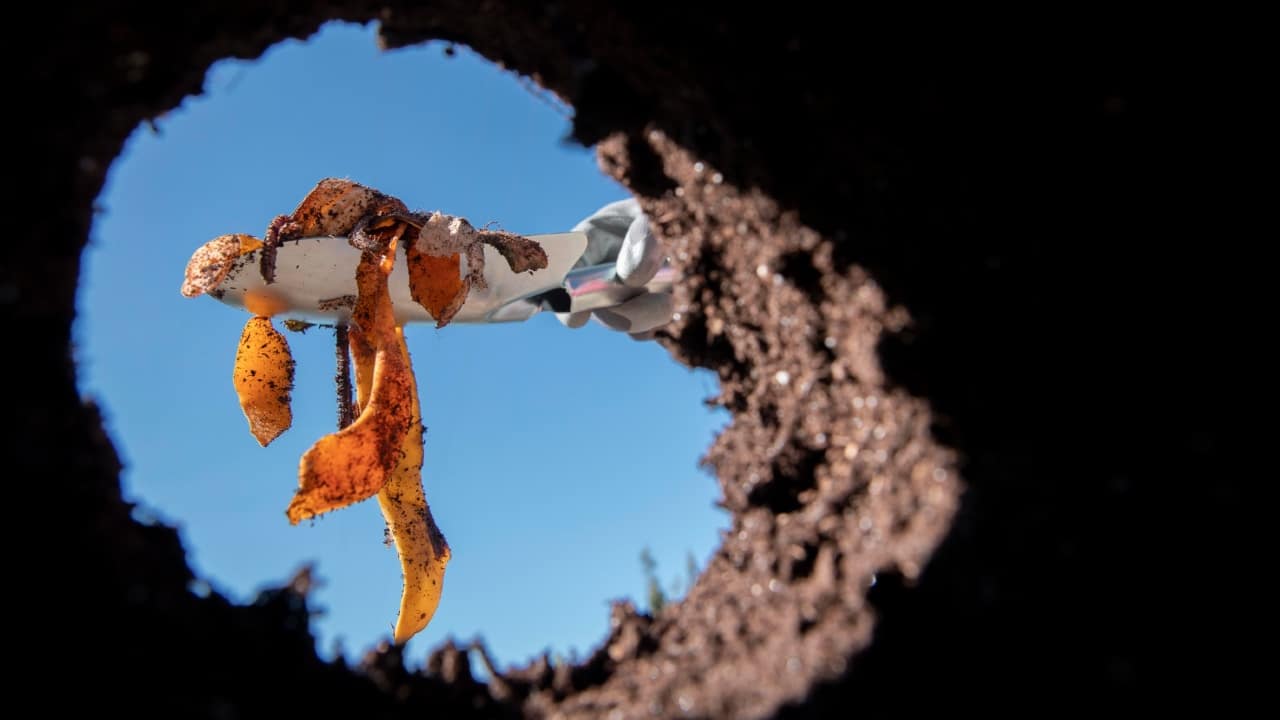usar restos humanos para composta de huertos y jardines