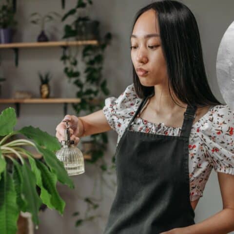 Insecticida casero de vinagre para plantas