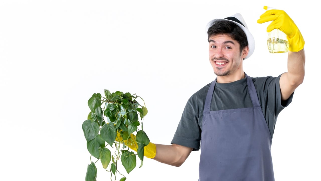 Insecticida casero de vinagre para plantas