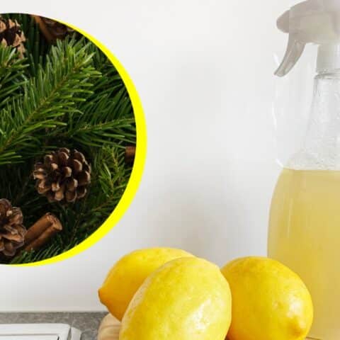 Limpiador casero con aroma a pino y limón