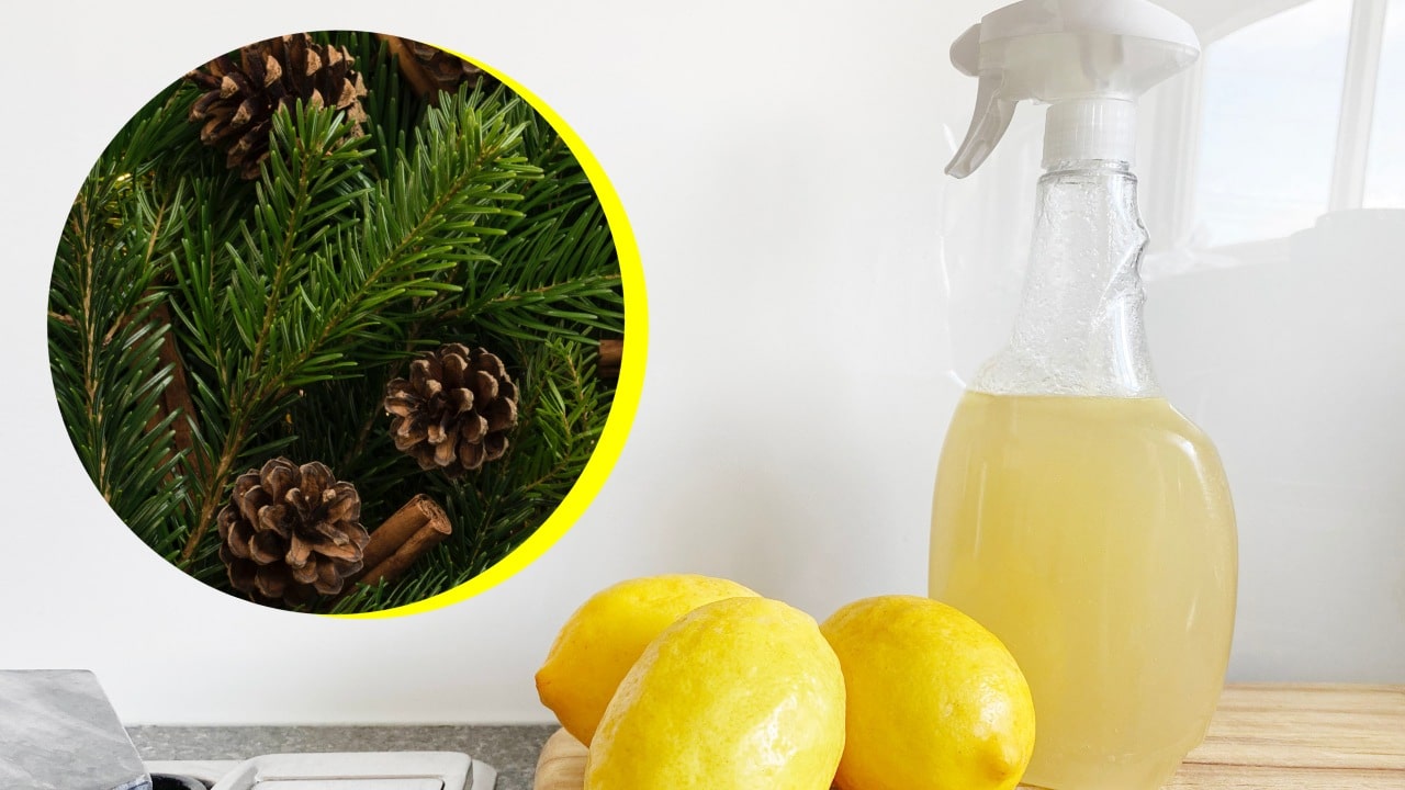 Limpiador casero con aroma a pino y limón
