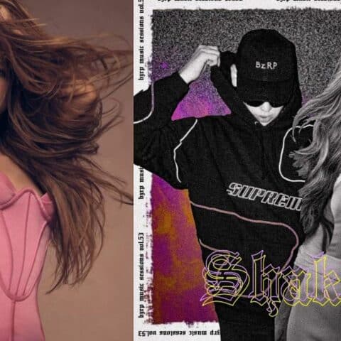 Shakira no hizo mal al lucrar con su dolor